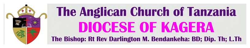 Website Logo
